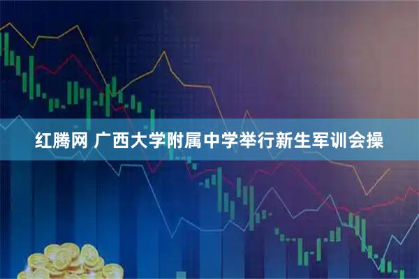 红腾网 广西大学附属中学举行新生军训会操