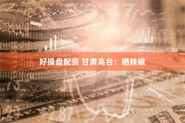 好操盘配资 甘肃高台：晒辣椒