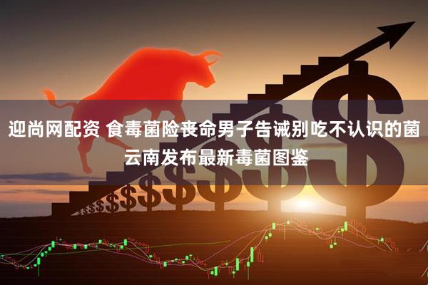 迎尚网配资 食毒菌险丧命男子告诫别吃不认识的菌 云南发布最新毒菌图鉴