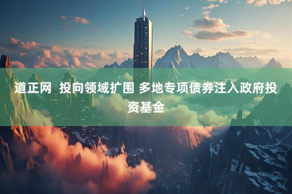 道正网  投向领域扩围&#32;多地专项债券注入政府投资基金
