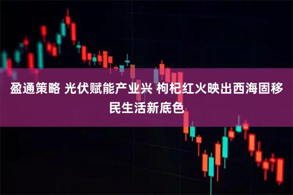 盈通策略 光伏赋能产业兴 枸杞红火映出西海固移民生活新底色