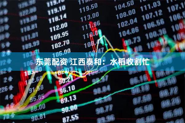 东莞配资 江西泰和：水稻收割忙