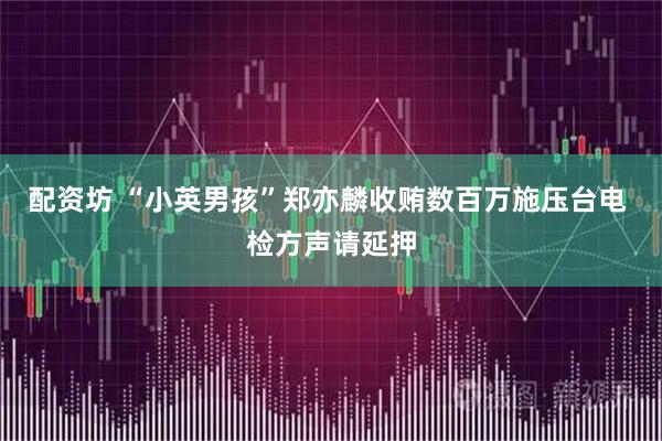 配资坊 “小英男孩”郑亦麟收贿数百万施压台电 检方声请延押