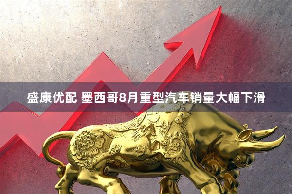 盛康优配 墨西哥8月重型汽车销量大幅下滑